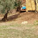 La Collina Delle Api