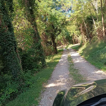 La Collina Delle Api Castelcucco