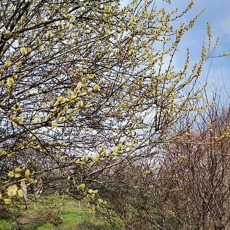 La Collina Delle Api مزرعة للإقامة Castelcucco