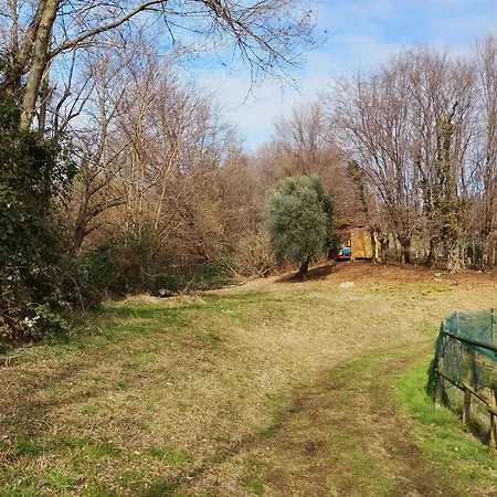 La Collina Delle Api مزرعة للإقامة *