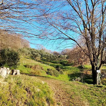 La Collina Delle Api Alloggio per agriturismo Castelcucco