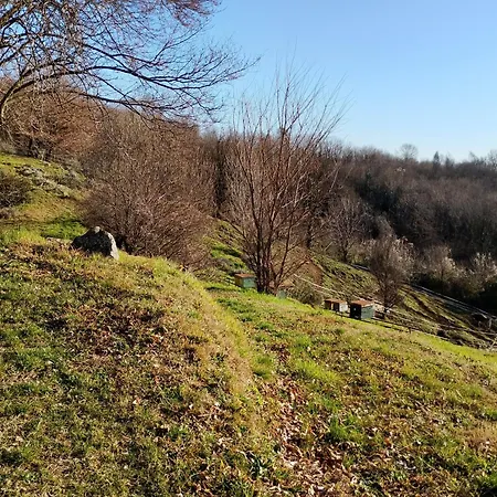 La Collina Delle Api Farma *