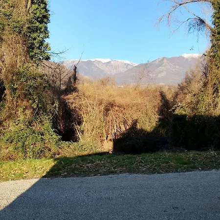 La Collina Delle Api