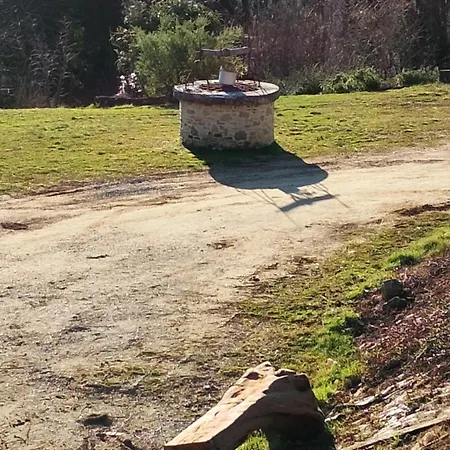 La Collina Delle Api Lantgård