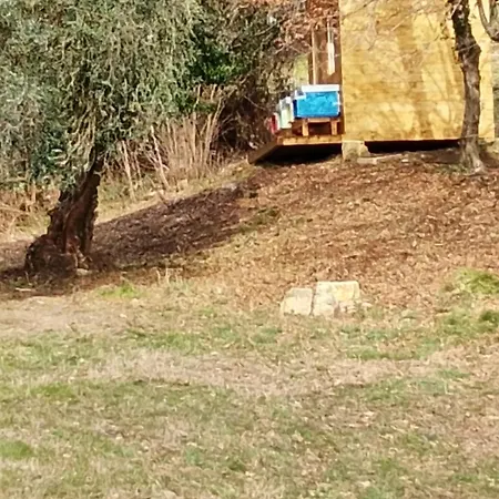 La Collina Delle Api