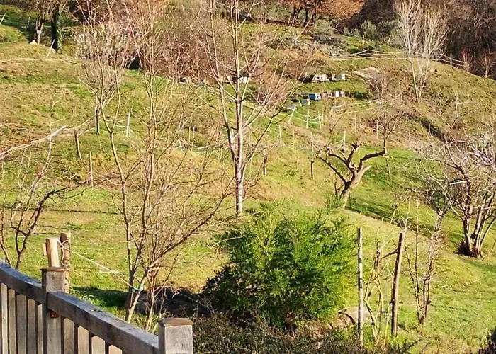 La Collina Delle Api 农家乐 *