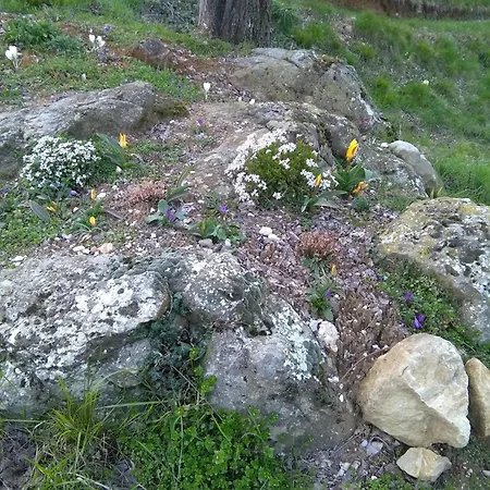 Çiftlik konaklama La Collina Delle Api *