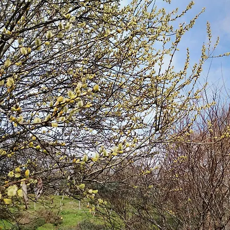 La Collina Delle Api 팜스테이 Castelcucco