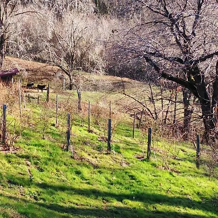 Çiftlik konaklama La Collina Delle Api Castelcucco