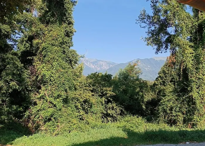 La Collina Delle Api * Castelcucco