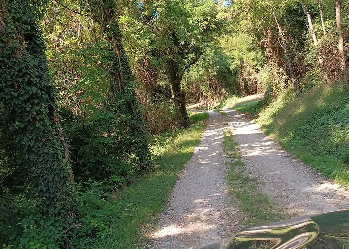 La Collina Delle Api Castelcucco