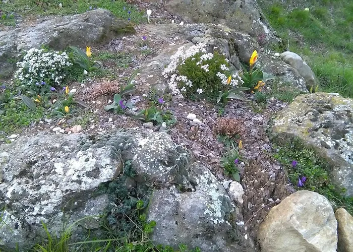 Фермерский дом La Collina Delle Api *