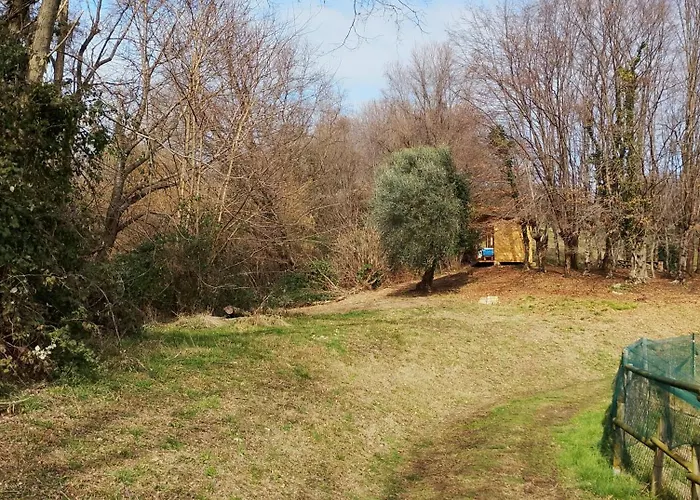 La Collina Delle Api Фермерский дом *
