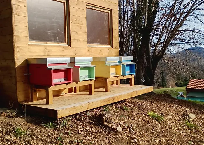 La Collina Delle Api