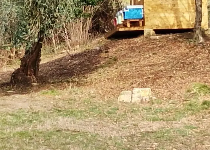 La Collina Delle Api